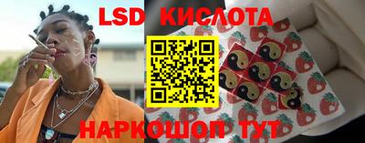 дживик Бийск