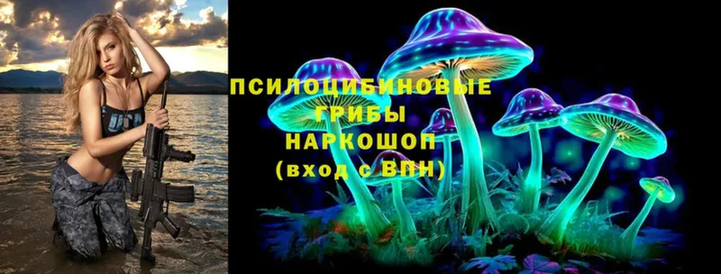 хочу   Еманжелинск  Галлюциногенные грибы Cubensis 